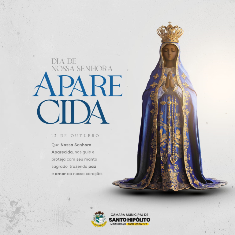 NOSSA SENHORA APARECIDA, ROGAI POR NÓS!